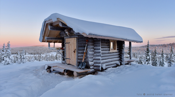 Northern Lights Cabins