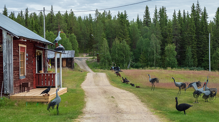 Net art in Marielund