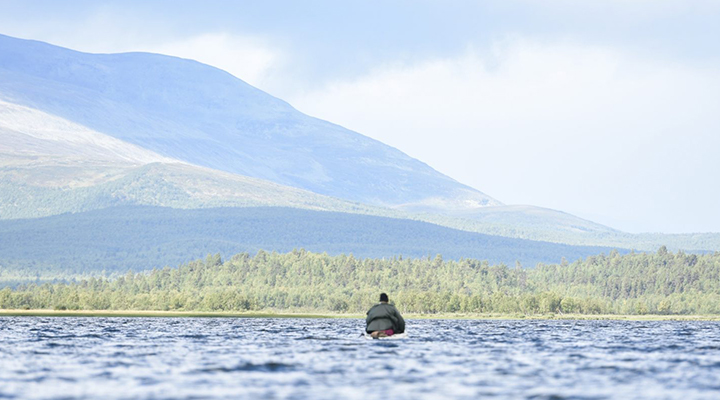 Lapland Wildlife Kayaking